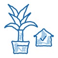 domestic potting flower doodle icon hand drawn illustration