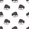 Domestic Rats Seamless Pattern