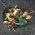 Domestic waste for compost from fruits and vegetables Royalty Free Stock Photo