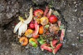 Domestic waste for compost from fruits and vegetables