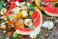 Domestic waste for compost from fruits and vegetables in garden Royalty Free Stock Photo