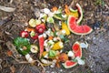 Domestic waste for compost from fruits and vegetables in garden. Royalty Free Stock Photo