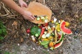Domestic waste for compost from fruits and vegetables. Woman throws garbage Royalty Free Stock Photo