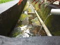 Domestic wastewater flows into the sewer.