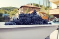 Domestic wine-making process. Crusher full of red grapes. Royalty Free Stock Photo