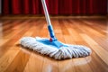 Domestic woman cleaning home dust hygiene mop housework housekeeping house cleaner household floor work Royalty Free Stock Photo