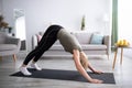 Domestic yoga practice. Flexible mature lady standing in downward facing dog asana, exercising on sports mat at home