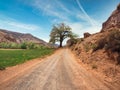 Dominguez Canyon near Delta, Colorado Royalty Free Stock Photo