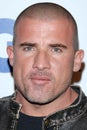 Dominic Purcell Royalty Free Stock Photo