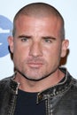 Dominic Purcell Royalty Free Stock Photo