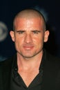 Dominic Purcell Royalty Free Stock Photo