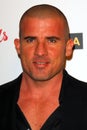 Dominic Purcell Royalty Free Stock Photo