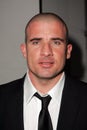 Dominic Purcell Royalty Free Stock Photo