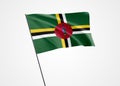 Dominica flag flying high in the isolated background. November 3 Dominica independence day. World national flag collection world