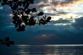 Dominica Island Sunset in Silhouette Royalty Free Stock Photo