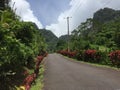 Dominica Water- Waterfall hike Royalty Free Stock Photo