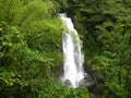 Dominica Waterfall Royalty Free Stock Photo