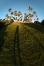 Dominican coast with shadow Royalty Free Stock Photo