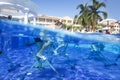 Dominican Republic, Hotel Grand Bahia Principe Aquamarine, 12.07.2018, aqua aerobics on bikes Royalty Free Stock Photo