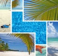 Dominican Republic Island Saona Royalty Free Stock Photo