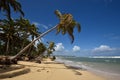 Dominican Republic, Punta Cana Royalty Free Stock Photo