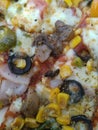 Dominos Pizza Mushroom non-vegetarian sweetcorn cheese Best affordable price