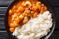 Domoda is the national dish of Gambia, a peanut stew made with meat pumpkin and served over fluffy rice close-up in a plate.