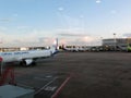 Domodedovo airport. Internal view of international