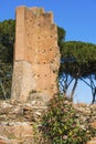 Domus Flavia. So called Basilica Ruins