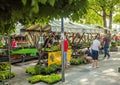 DOMZALE, SLOVENIA - Jul 15, 2019: Sunny Saturday morning at farmer's market