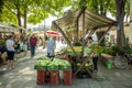 DOMZALE, SLOVENIA - Jul 15, 2019: Sunny Saturday morning at farmer's market