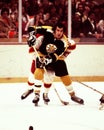 Don Marcotte Boston Bruins Royalty Free Stock Photo