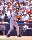 Don Mattingly New York Yankees