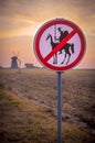 Don Quijote Royalty Free Stock Photo