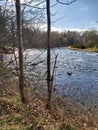 Don river in Seaton Park