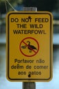 Don't feed ducks Royalty Free Stock Photo