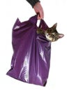 Don't let the cat out of the bag!