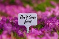 Don`t Loose focus quote. Royalty Free Stock Photo