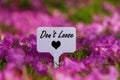 Don`t Loose heart quote. Royalty Free Stock Photo