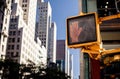 Don't walk New York traffic sign Royalty Free Stock Photo