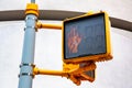 Red `Don`t walk` pedestrian traffic light in New York City, Royalty Free Stock Photo