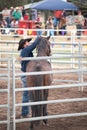 Donal Hancock, Horseman, Training Horse at Festival