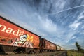 Donald Duck in Rail Car Graffiti Royalty Free Stock Photo