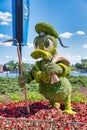 Donald Duck topiary display figure on display at Disney World Royalty Free Stock Photo
