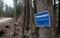 A Donald Trump campaign sign tacked to a tree at the edge of a wooded dirt road in rural New Hampshire