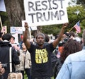 Donald Trump Free Speech Brawl In Berkeley California