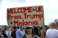 Donald Trump, London, UK, Stock Photo, 3/6/2019 - Donald Trump helicopter landing at Buckingham Palace for UK visit day photograph