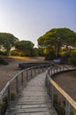 Donana National Park in Spain A UNESCO World Heritage Site