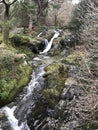 Donard Park