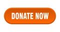 donate now button Royalty Free Stock Photo